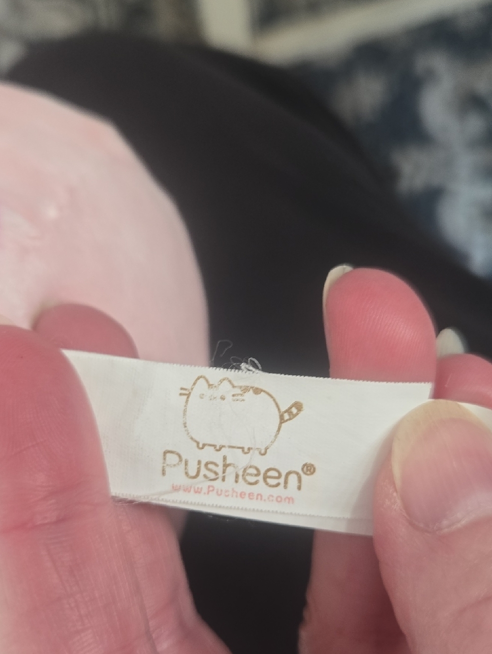 Pusheen - Picture 6 of 7